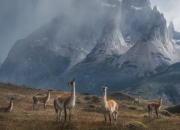 英雄联盟总决赛-构思