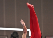 英雄联盟总决赛门票-世界赛舞台，体操代表国家出征荣耀的简单介绍