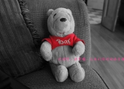 -2026世界杯焦点战，公牛一波带走开拓者，跨界体育狂欢引爆全球