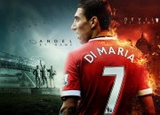 LOL决赛-绿隼折星月，沙特奇迹之夜与加克波的加冕礼