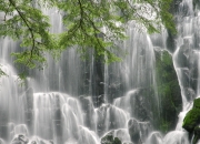 英雄联盟总决赛门票-当库里的三分如凯恩般致命，竞技体育同一种剧本，为何总让我们心潮难平？