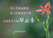 英雄联盟总决赛直播-锡安炸裂演绎！暴力美学摧毁防守，跨越大洋的毁灭性统治