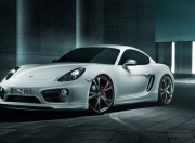 英雄联盟总决赛赛程-篮球世界的平行叙事，浙江队的独行侠节奏与字母哥的绝对力量