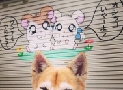 -冰与火的足球美学，姆巴佩的手术刀与几内亚的火山