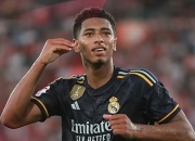 英雄联盟总决赛-关于塞尔塔客场悲愤难平吞苦果的信息