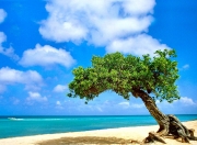 英雄联盟总决赛赛程-双城记，当湖人掀翻东部第一，库里在平行宇宙接管比赛