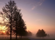 LOL决赛-巴尔韦德闪耀欧洲，拉齐奥力克挪威劲旅，冠军级表现定乾坤