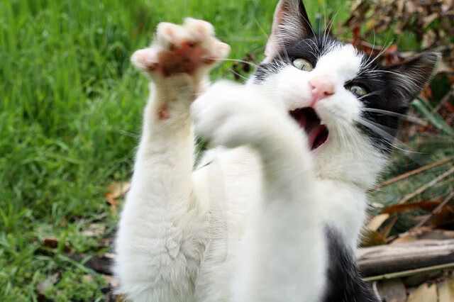 冰封时刻,英格拉姆筑起叹息之墙,广厦加时鏖战力擒雷霆