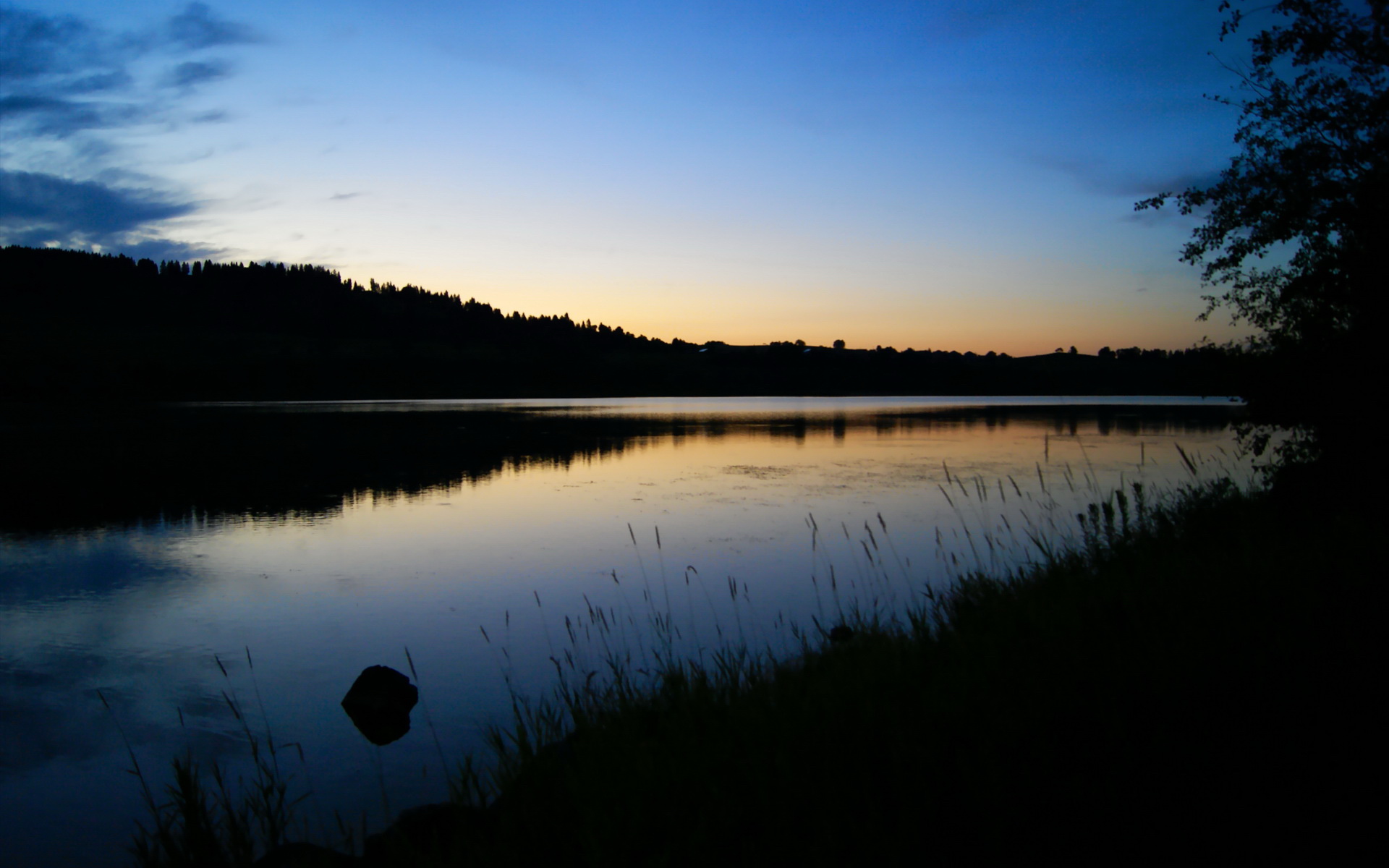F1街道赛之夜,范弗利特,以轮胎为画笔的暗夜画师