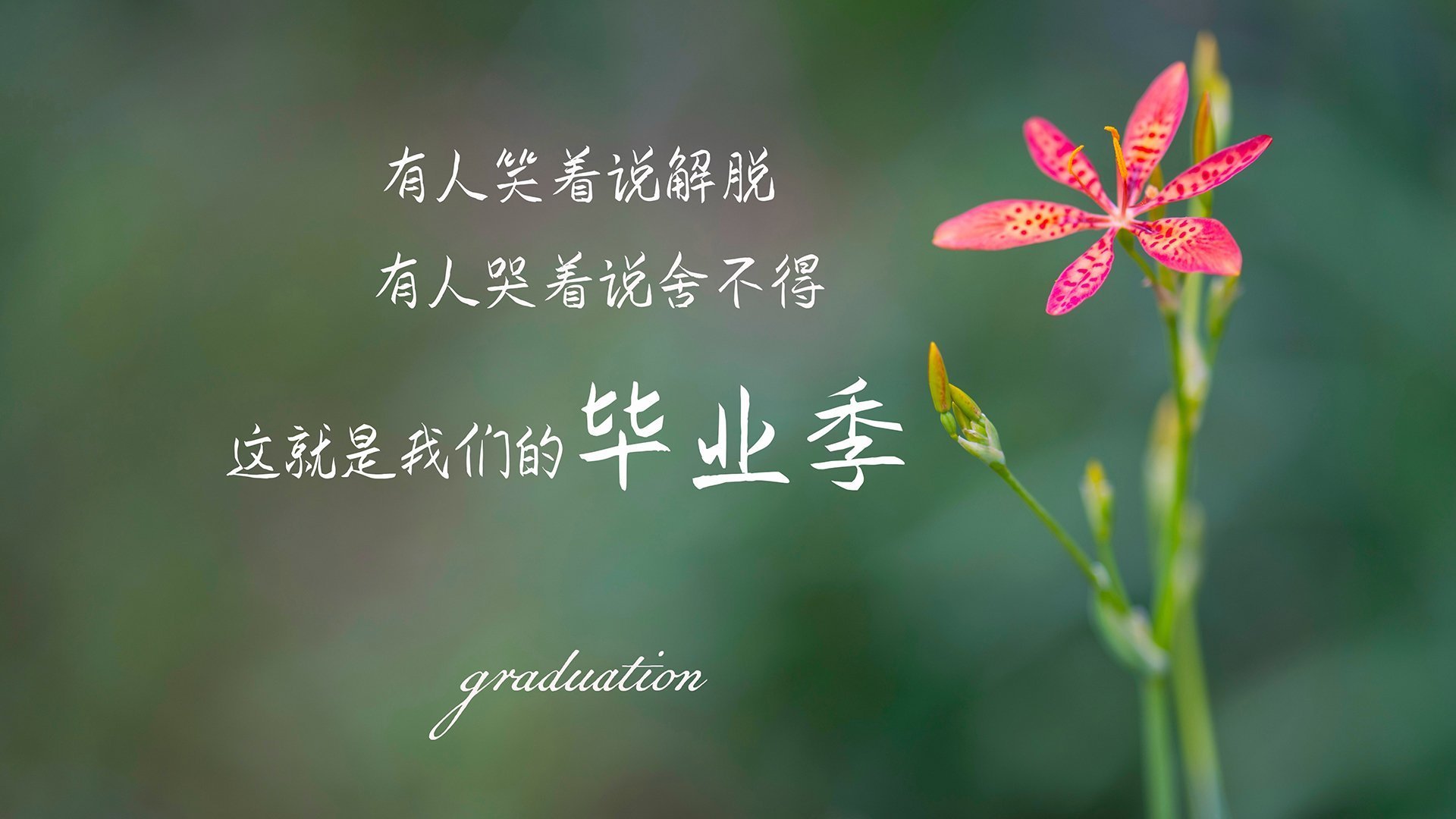 窒息式防守与智慧闪光,西决生死战中马里如何战术绞杀阿森纳