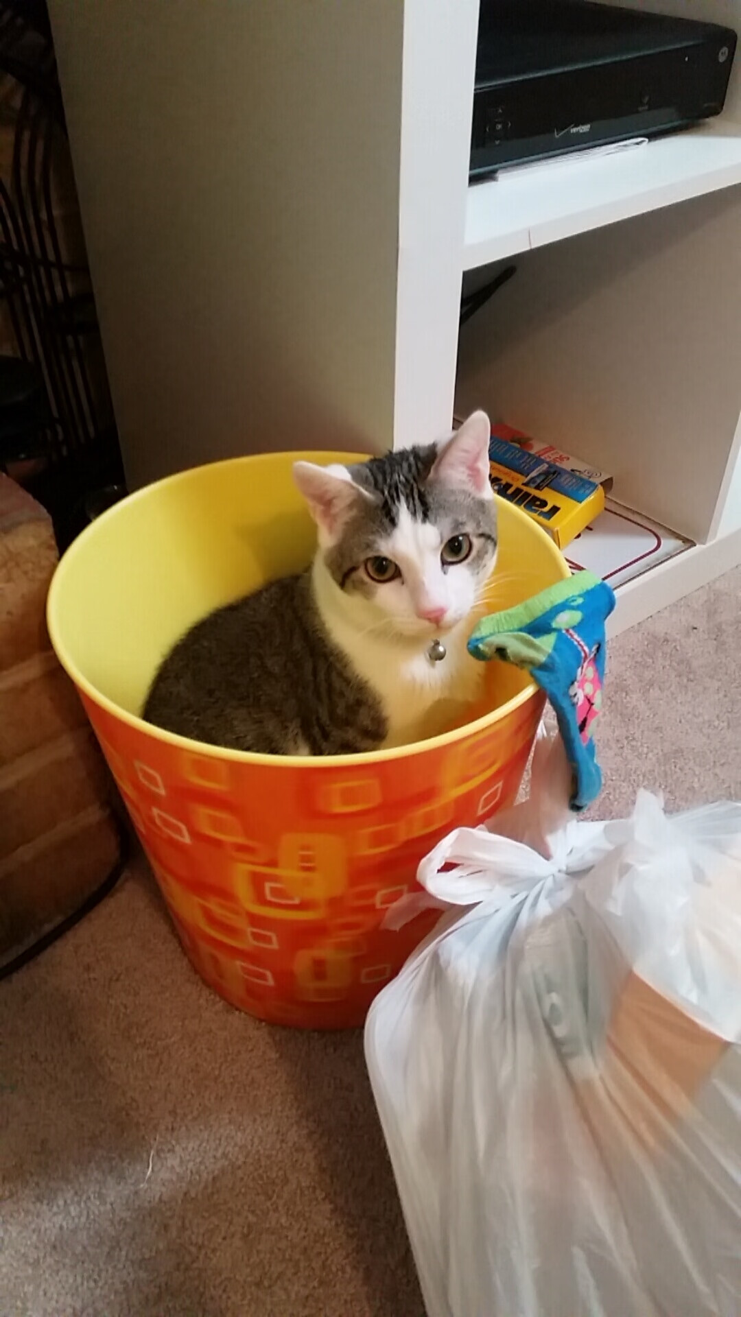 秒针与时针，当卢卡库秒杀悬念，巴西与德国仍在世纪鏖战中