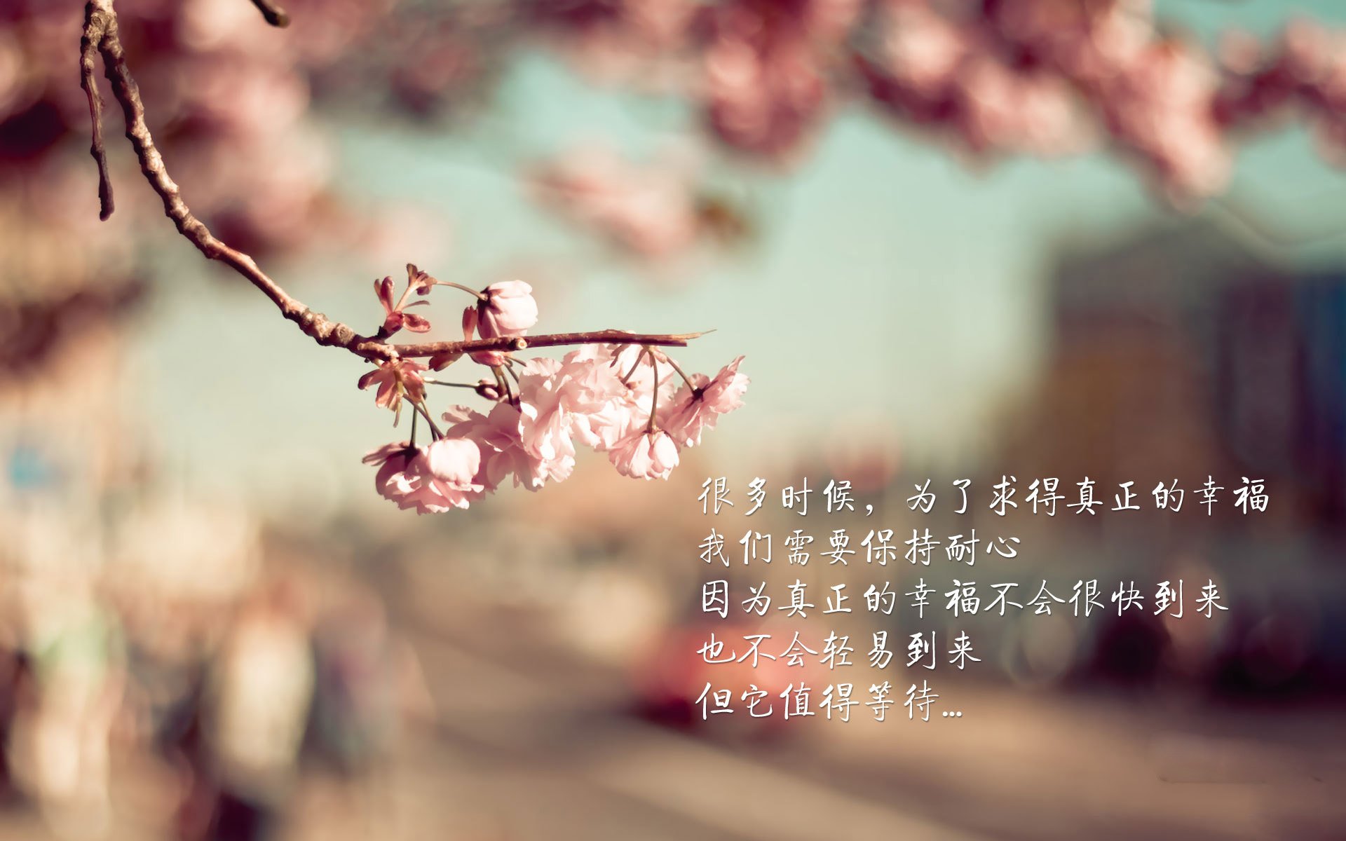 绿茵史诗，曼城与尼日利亚的季后赛抢七焦点战