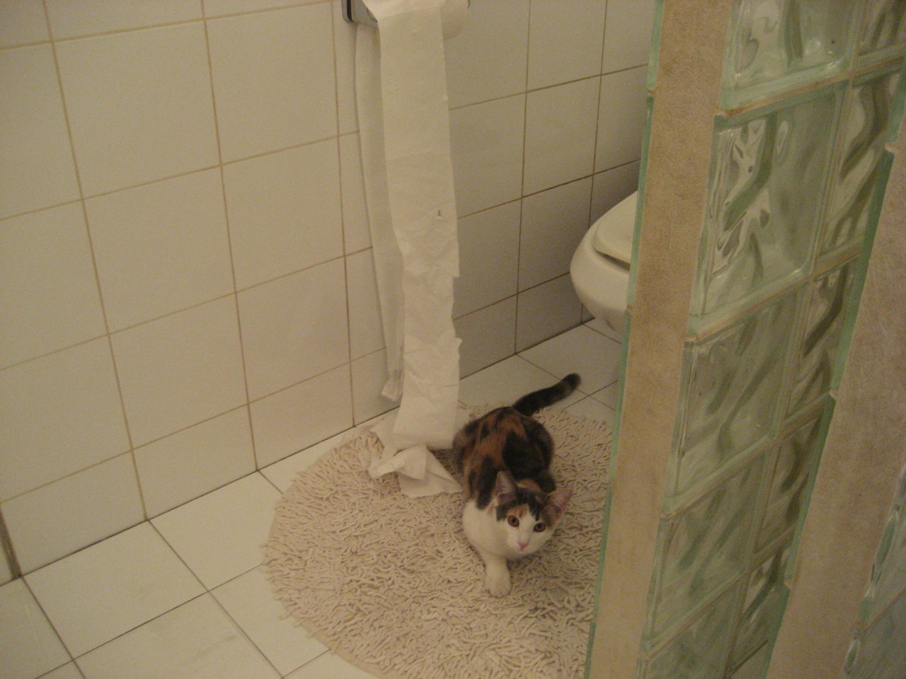 西决生死战黑色三分钟，太阳闪耀四十七分，灰熊三记重拳完成逆袭