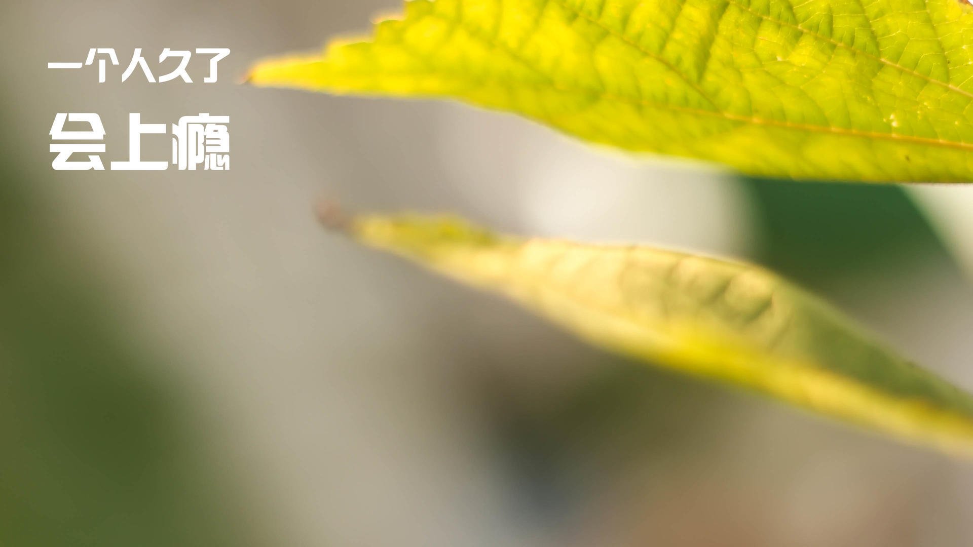 苏亚雷斯的节奏交响曲,尼日利亚对阵挪威的唯一主宰