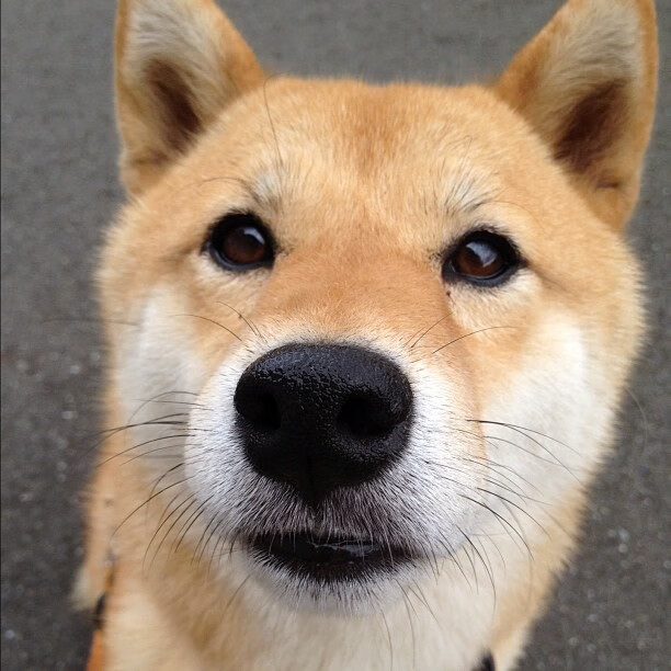 双线战争,轰鸣街道与寂静更衣室—亚特兰大的高压24小时