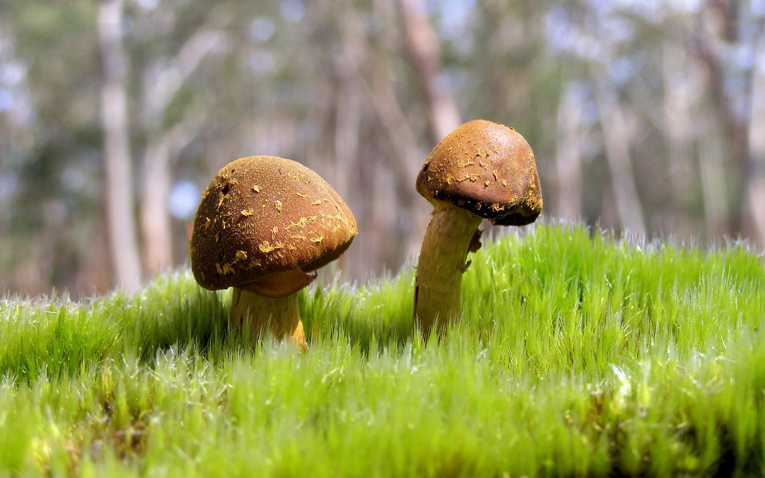 威尔士节奏掀起斯坦福桥风暴，本泽马化身主宰逆转争霸棋局